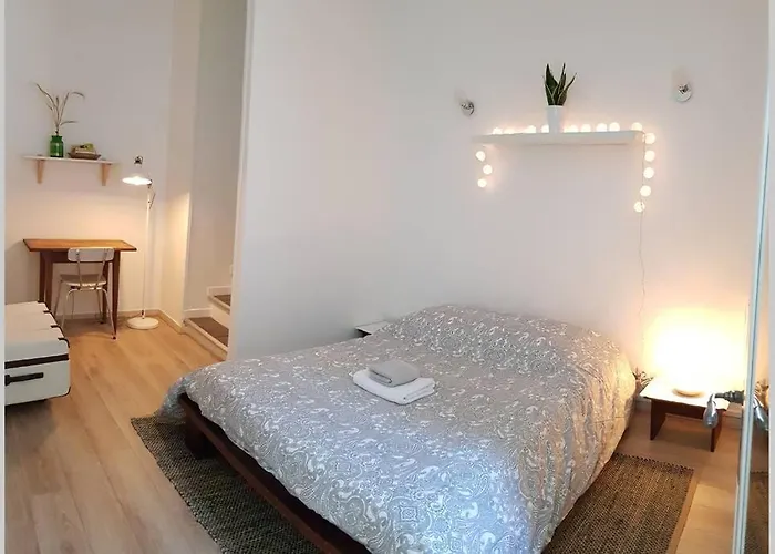 公寓 Cosy Proche Du Chu *