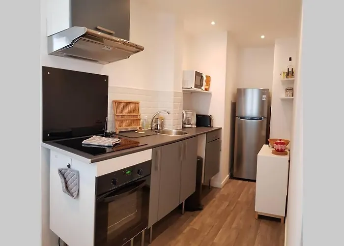 公寓 Cosy Proche Du Chu *